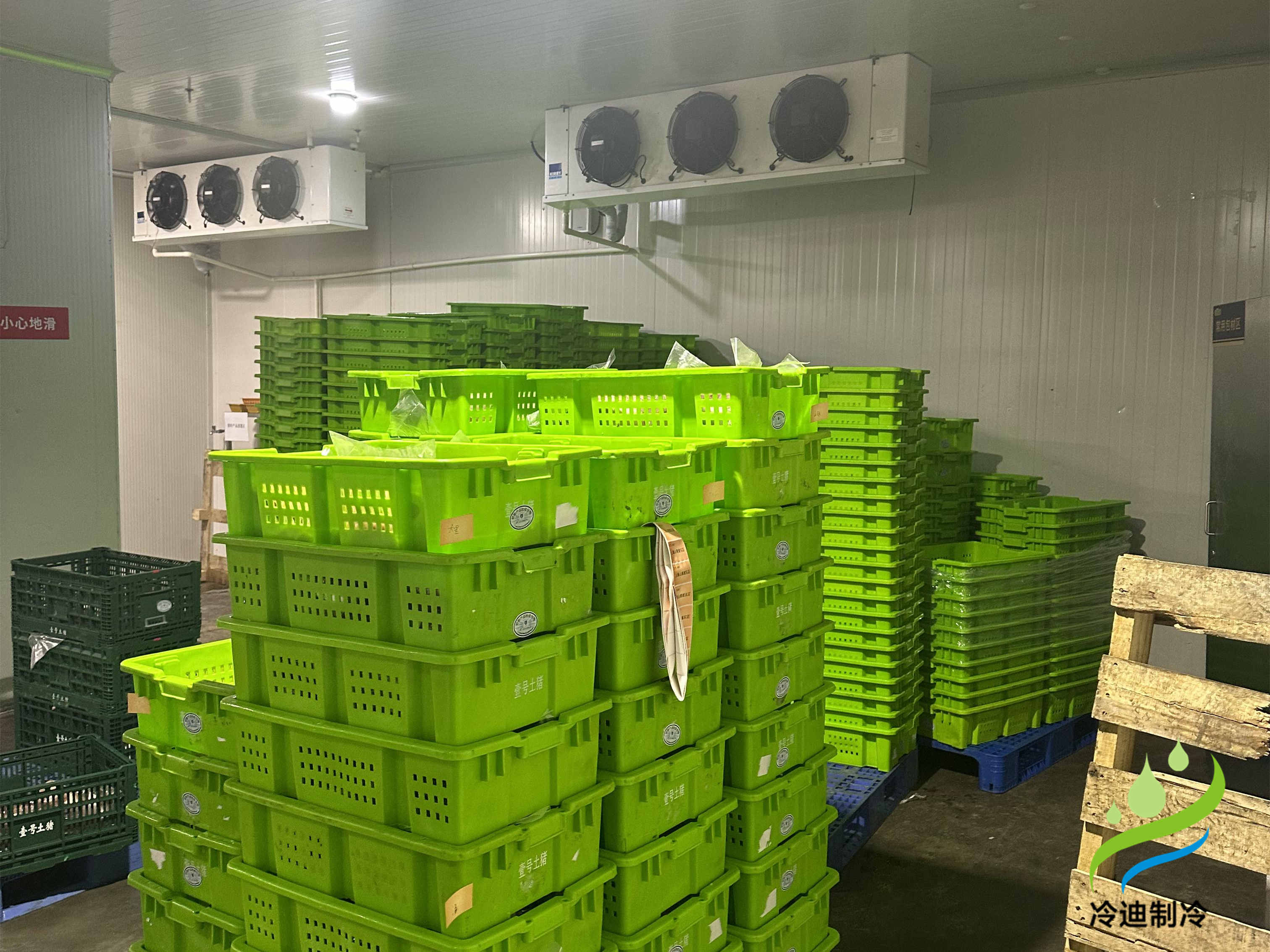 建造一座30噸冷庫造價需要多少錢？